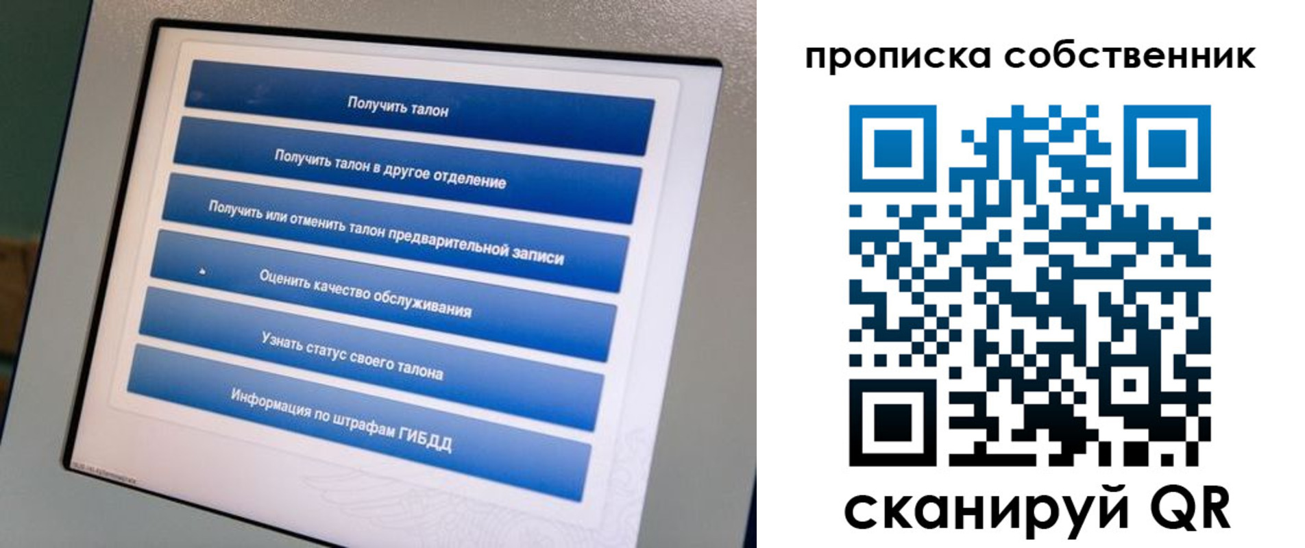 прописка поиск в Менделеевске